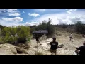 NAXJA Jeep Cherokees on Smasher