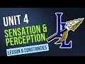 Unit 4 Lesson 6 Perceptual Constancy