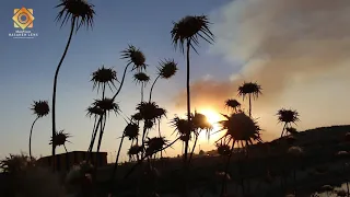 اغنية موطني وقت غروب الشمس خاص صفحة عدسة الحسكة 