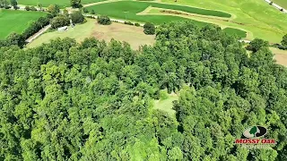 A Deer Hunter s Dream Kanati Ranch