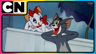 Tom And Jerry Tom S Summer Romance Cat And The Mouse Watch Cartoon Cnindia 