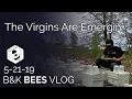 Download Lagu The Virgins (Queens) Are Emergin' - 5-21-19