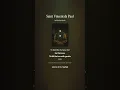 Saint Vincent de Paul