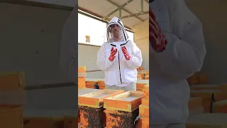 خرافات العسل استخدام الملعقة الخشب والحديد يؤثر على جودة العسل دندنها
