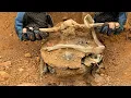 Download Lagu What We Discovered Buried Shocked The Whole World❌ [ Strange Treasure Hunt By Metal Detector ]