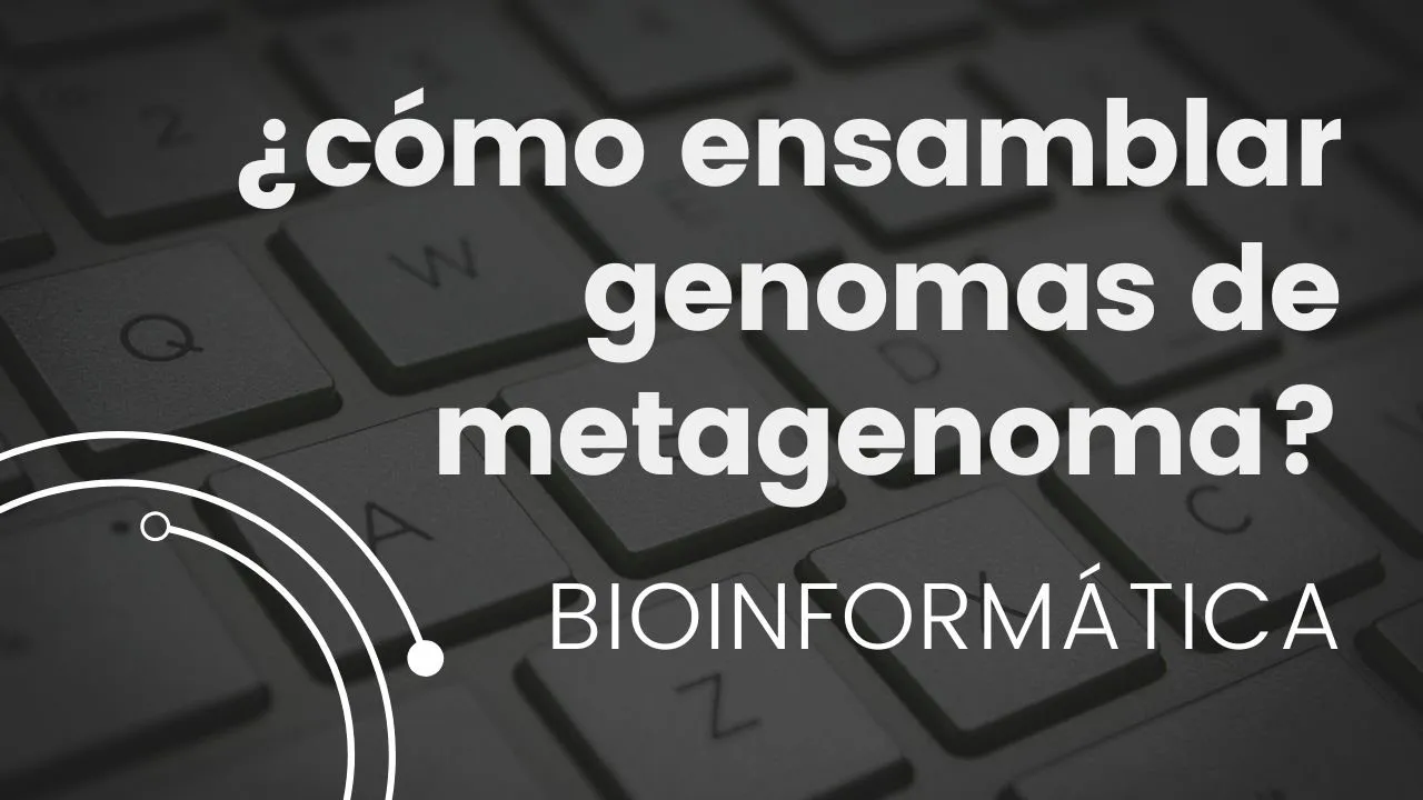 Metagenome-Assembled Genomes (MAGs) en ESPAÑOL