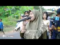 Download Lagu Laguq nani selapuq wah Sirne_Armila febria azeni Musik jalanan Reinata 05