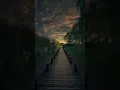 beautiful nature