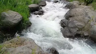 White noise untuk bayi dan dewasa dari suara sungai alami yang konsisten dan jernih #fokus