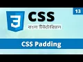 CSS Padding in Bangla How to Add Padding in CSS Learn CSS Bangla 13