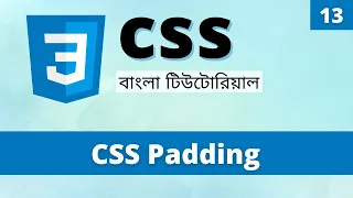 CSS Padding in Bangla How to Add Padding in CSS Learn CSS Bangla 13
