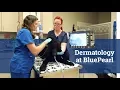 Dermatology at BluePearl