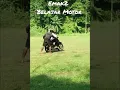 Download Lagu emak2 belajar motor... lucu mau ketawa takut dosa 😅