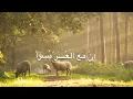 Download Lagu surah alam nashrah | Surah al inshirah (Quran recitation)beautiful voice