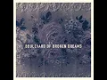Boulevard of Broken Dreams - Roses & Revolutions
