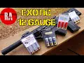 Shooting Exotic 12 Gauge Shotgun Ammo from the Panzer BP-12 Bullpup Shotgun
