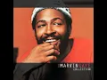 Download Lagu Marvin Gaye...What's Going On...Extended Mix...