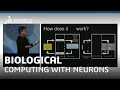 Biological Computing With Living Neurons - Hon Weng Chong Cortical Labs CEO