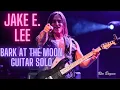 Download Lagu Bark At The Moon Guitar Solo Cover (Ozzy/Jake E. Lee)