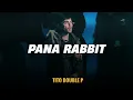 PANA RABBIT - Tito Double P (LETRA/LYRICS)