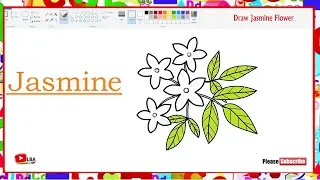 Jasmine Flower Drawing LearnByArt