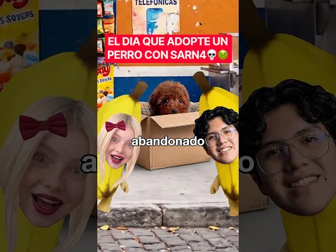 EL DIA QUE ADOPTE UN PERRO CON SARN4🤣💀