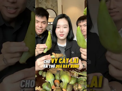Dụ dỗ ăn thử quả ráy rừng độc lạ - | Đàm Đức Review