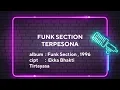 FUNK SECTION - TERPESONA | LIRIK LAGU