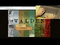 Walden Instructional