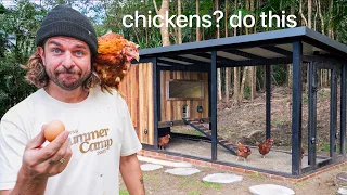 my first week with (SPECIAL) chickens