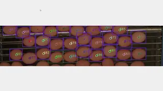 computer vision egg count