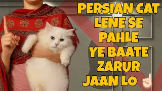 Persian Cat Lene Se Pehle Ye 5 Baatein Zarur Jaan Lo Persian Cats Cat Information leo - lily0