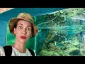 This is what CUBA S NATIONAL AQUARIUM looks like PRICE UPDATE