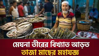 মেঘনা তীরের বিশাল ভৈরব মাছের আড়ত! 🐟⚓ | Bhairab Fish Market Documentary | Desh Barta Tv