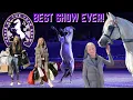 Download Lagu HORSE OF THE YEAR SHOW VLOG 2022! COME TO HOYS WITH US!