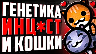 Игра про котиков нанесла мне травму | Mewgenics