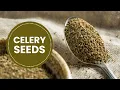 How to Use Celery Seeds for Health and Flavor