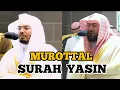Download Lagu Murottal Surah Yasin Oleh Syeikh Yasir Ad Dosari\u0026Syeikh Bandar Baleela Imam Masjidil Haram