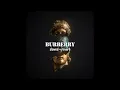 Sidhu Moose Wala - Burberry (slowed + reverb) SNACK