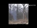 Laughing GIFs - Tree gone mad
