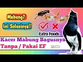 Download Lagu Kacer Mabung Bagus Tanpa EF atau Pakai EF?