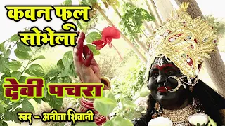 new video anita shivani bhojpuri devi pachra 2023