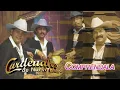Cardenales De Nuevo León - Compréndala (Visualizer)