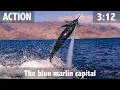 Download Lagu Kaapverdië, de hoofdstad van de blauwe marlijn