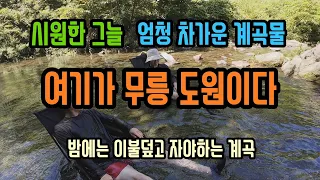 시원한 그늘, 맑고 차가운 계곡물 //여름에는 여기가 무릉도원 썸네일