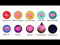 Every Level Of Intelligence Explained in 5 Minutes