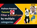 Python Pandas Tutorial 26 Filter a DataFrame by multiple categories Aksadur Bangla
