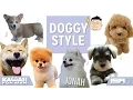 Doggy Style - KAWAII FOR MEN Ep 2 S2