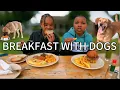 Download Lagu EP 14:This Café Lets You Dine With Your Pet in Nairobi! 🐕✨