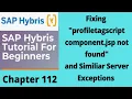 Fix Missing JSP Errors in SAP Hybris personalizationaddon profiletagaddon assistedservice